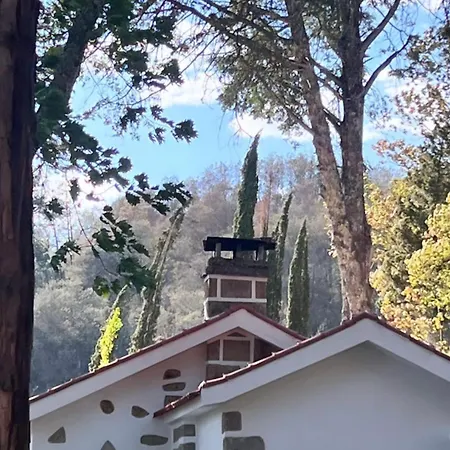 Holiday home Quinta Da Hortigueira - Trancoso