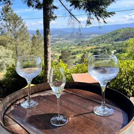 Quinta Da Hortigueira - Casa vacanze *